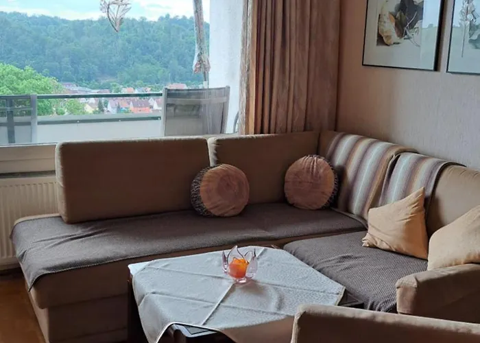 Harzer Ferienwohnung Mit Pool Und Sauna